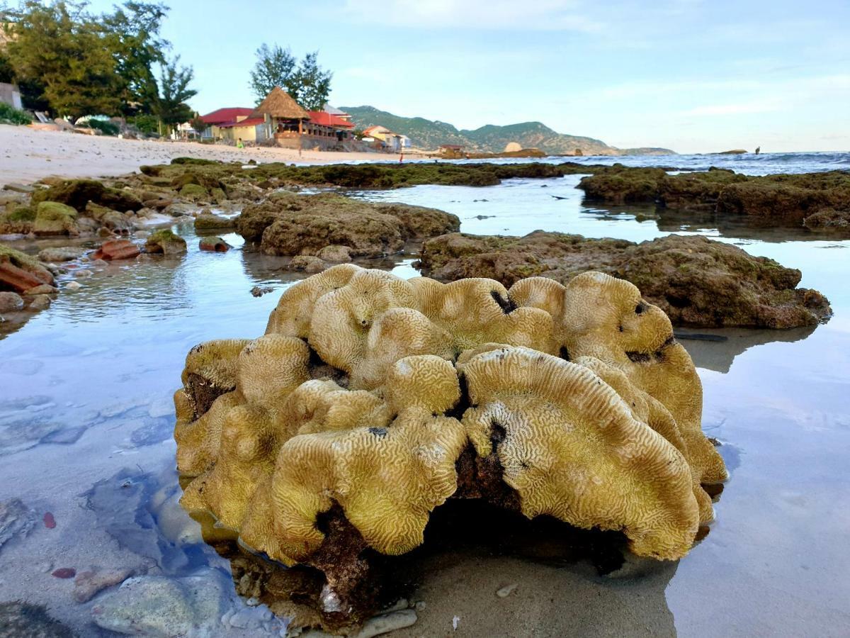 Mui Dinh Hotel Phan Rang Eksteriør bilde
